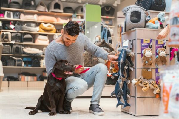 Pet Shop Eğitimi Sertifikası